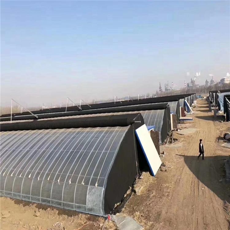溫室大棚鋼管圖片 溫室大棚鋼管圖片